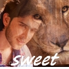 الصورة الرمزية hrithik sweet