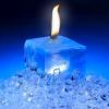 الصورة الرمزية faysl7
