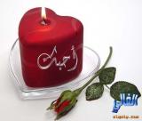 الصورة الرمزية نرمين روشان