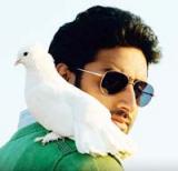 الصورة الرمزية Abhishek Bachch