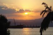 الصورة الرمزية lala22